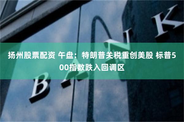 扬州股票配资 午盘：特朗普关税重创美股 标普500指数跌入回调区