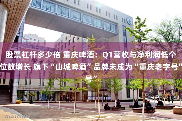 股票杠杆多少倍 重庆啤酒：Q1营收与净利润低个位数增长 旗下“山城啤酒”品牌未成为“重庆老字号”