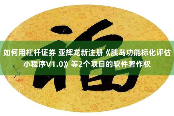 如何用杠杆证券 亚辉龙新注册《胰岛功能标化评估小程序V1.0》等2个项目的软件著作权