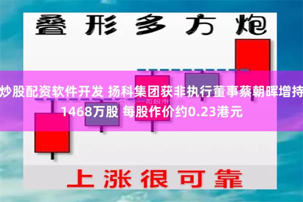 炒股配资软件开发 扬科集团获非执行董事蔡朝晖增持1468万股 每股作价约0.23港元