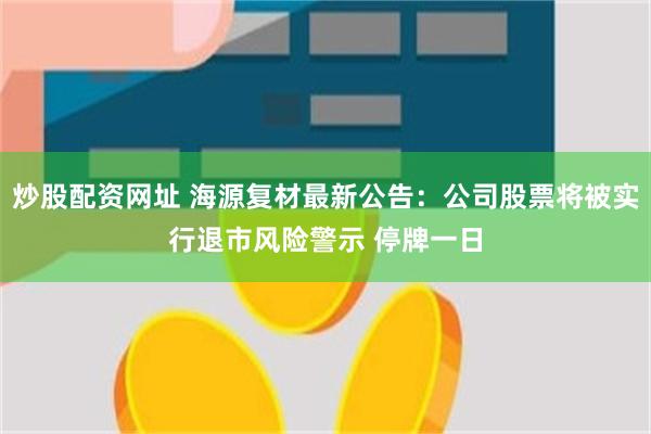 炒股配资网址 海源复材最新公告：公司股票将被实行退市风险警示 停牌一日