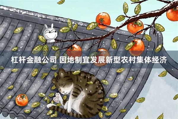 杠杆金融公司 因地制宜发展新型农村集体经济