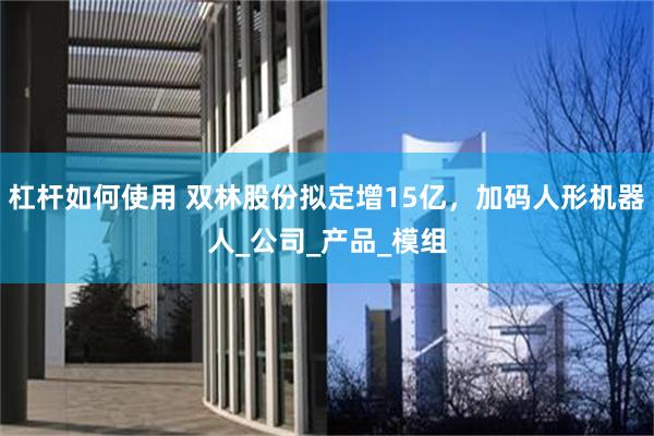 杠杆如何使用 双林股份拟定增15亿，加码人形机器人_公司_产品_模组