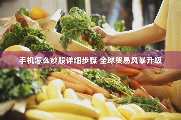 手机怎么炒股详细步骤 全球贸易风暴升级