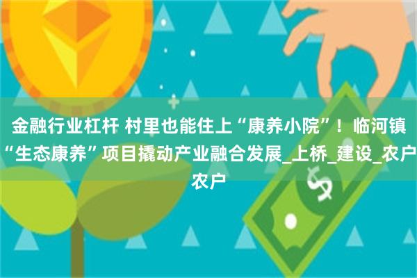 金融行业杠杆 村里也能住上“康养小院”！临河镇“生态康养”项目撬动产业融合发展_上桥_建设_农户