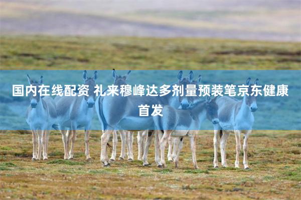 国内在线配资 礼来穆峰达多剂量预装笔京东健康首发