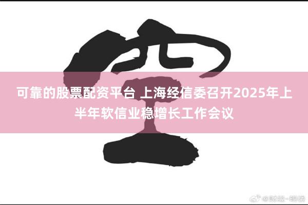 可靠的股票配资平台 上海经信委召开2025年上半年软信业稳增长工作会议