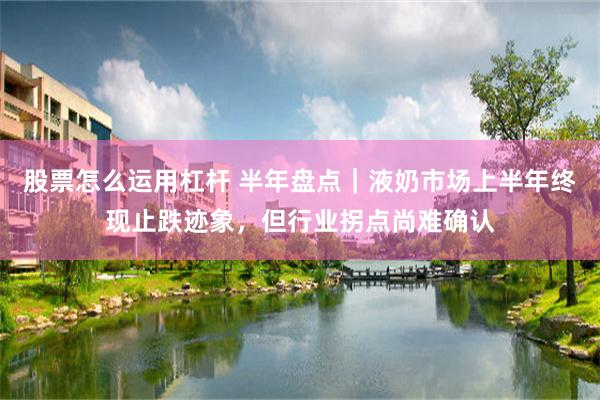 股票怎么运用杠杆 半年盘点｜液奶市场上半年终现止跌迹象，但行业拐点尚难确认