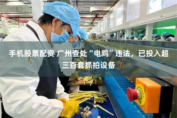 手机股票配资 广州查处“电鸡”违法，已投入超三百套抓拍设备