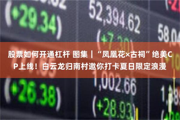 股票如何开通杠杆 图集｜“凤凰花×古祠”绝美CP上线！白云龙归南村邀你打卡夏日限定浪漫