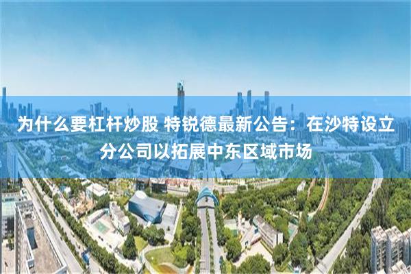 为什么要杠杆炒股 特锐德最新公告：在沙特设立分公司以拓展中东区域市场