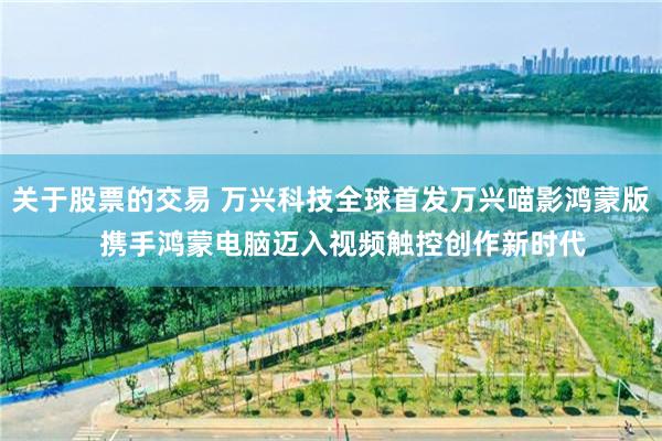 关于股票的交易 万兴科技全球首发万兴喵影鸿蒙版   携手鸿蒙电脑迈入视频触控创作新时代
