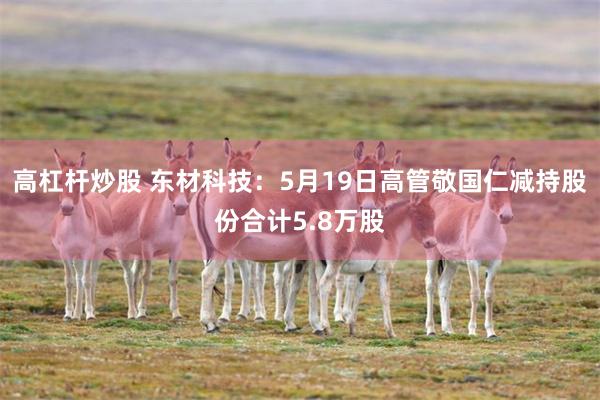 高杠杆炒股 东材科技：5月19日高管敬国仁减持股份合计5.8万股