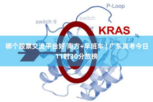 哪个股票交流平台好 南方+早班车 | 广东高考今日11时30分放榜