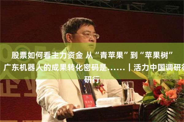 股票如何看主力资金 从“青苹果”到“苹果树”，广东机器人的成果转化密码是……｜活力中国调研行