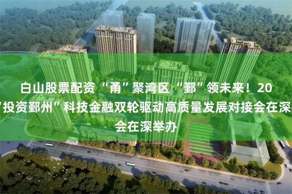 白山股票配资 “甬”聚湾区 “鄞”领未来！2025“投资鄞州”科技金融双轮驱动高质量发展对接会在深举办