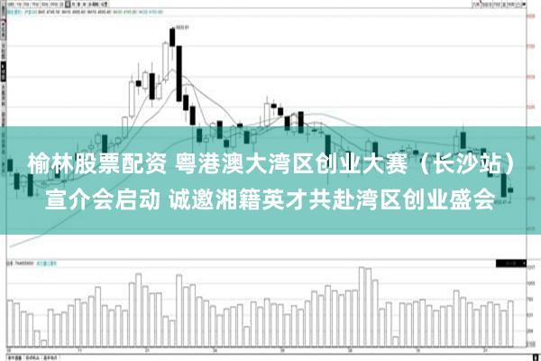 榆林股票配资 粤港澳大湾区创业大赛（长沙站）宣介会启动 诚邀湘籍英才共赴湾区创业盛会