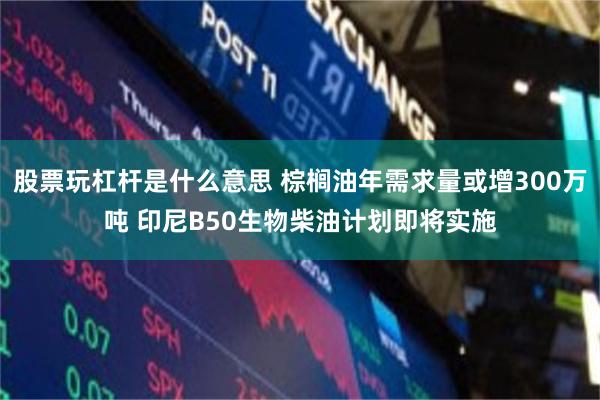 股票玩杠杆是什么意思 棕榈油年需求量或增300万吨 印尼B50生物柴油计划即将实施