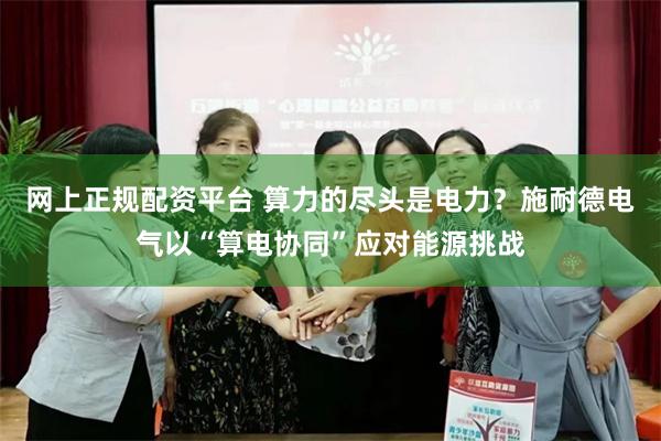 网上正规配资平台 算力的尽头是电力？施耐德电气以“算电协同”应对能源挑战