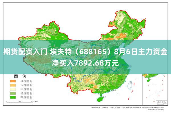 期货配资入门 埃夫特（688165）8月6日主力资金净买入7892.68万元
