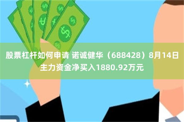 股票杠杆如何申请 诺诚健华（688428）8月14日主力资金净买入1880.92万元