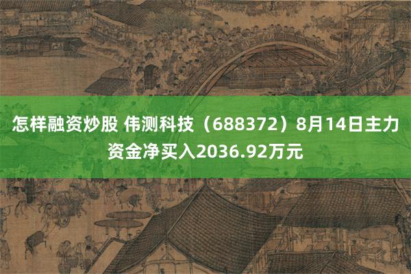 怎样融资炒股 伟测科技（688372）8月14日主力资金净买入2036.92万元