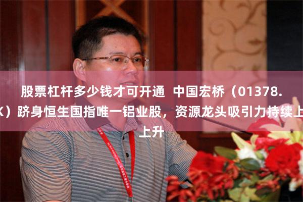 股票杠杆多少钱才可开通  中国宏桥（01378.HK）跻身恒生国指唯一铝业股，资源龙头吸引力持续上升