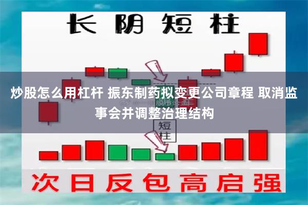 炒股怎么用杠杆 振东制药拟变更公司章程 取消监事会并调整治理结构