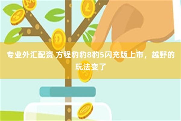专业外汇配资 方程豹豹8豹5闪充版上市，越野的玩法变了