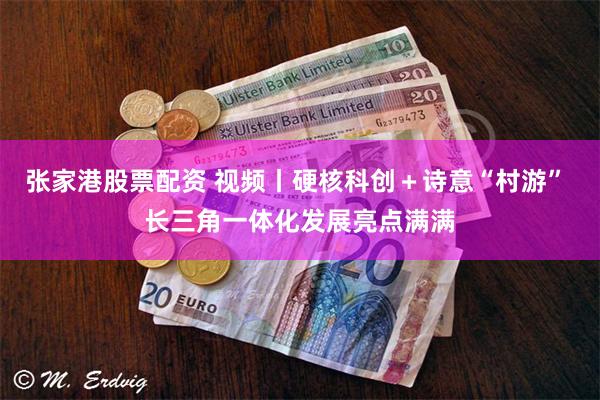 张家港股票配资 视频丨硬核科创＋诗意“村游” 长三角一体化发展亮点满满