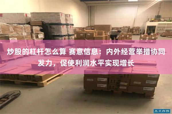 炒股的杠杆怎么算 赛意信息:内外经营举措协同发力,促使利润水平实现增长