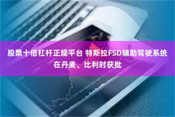 股票十倍杠杆正规平台 特斯拉FSD辅助驾驶系统在丹麦、比利时获批