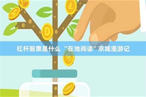 杠杆股票是什么 “在地阅读”京城漫游记