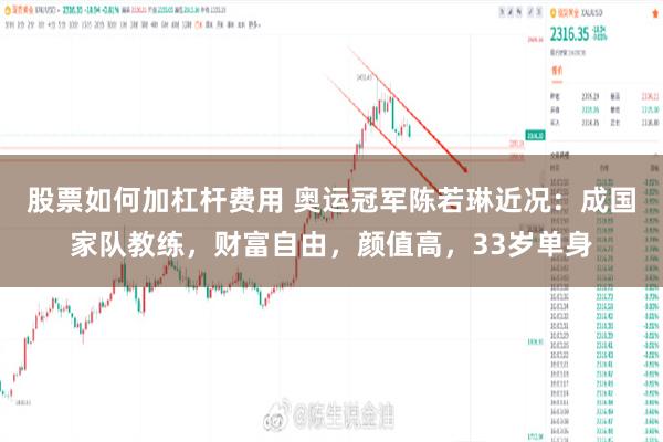 股票如何加杠杆费用 奥运冠军陈若琳近况：成国家队教练，财富自由，颜值高，33岁单身