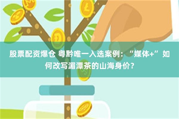 股票配资爆仓 粤黔唯一入选案例：“媒体+” 如何改写湄潭茶的山海身价？