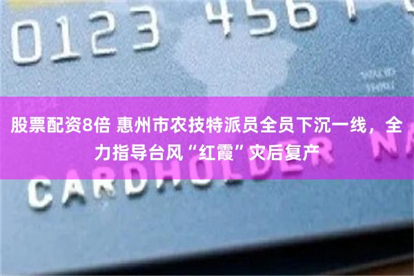 股票配资8倍 惠州市农技特派员全员下沉一线，全力指导台风“红霞”灾后复产