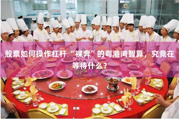 股票如何操作杠杆 “裸奔”的粤港湾智算，究竟在等待什么？