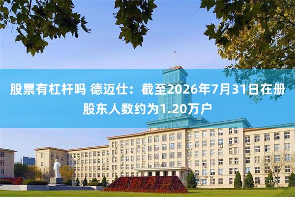 股票有杠杆吗 德迈仕：截至2026年7月31日在册股东人数约为1.20万户