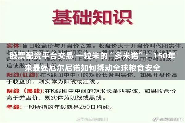 股票配资平台交易 一粒米的“多米诺”：150年来最强厄尔尼诺如何撬动全球粮食安全