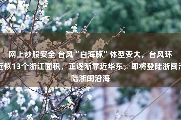 网上炒股安全 台风“白海豚”体型变大，台风环流近似13个浙江面积，正逐渐靠近华东，即将登陆浙闽沿海