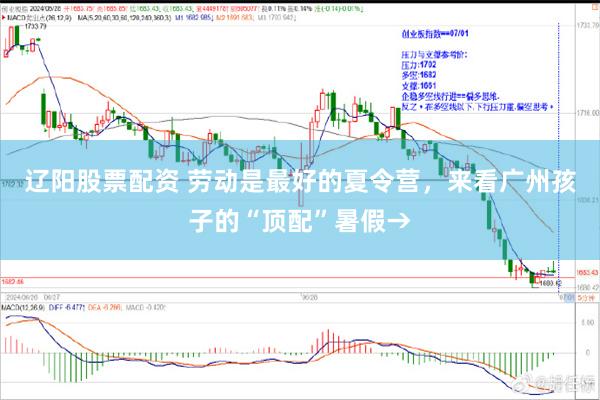 辽阳股票配资 劳动是最好的夏令营，来看广州孩子的“顶配”暑假→