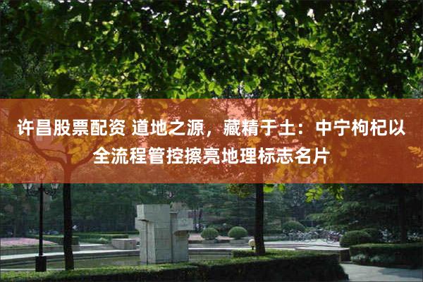 许昌股票配资 道地之源，藏精于土：中宁枸杞以全流程管控擦亮地理标志名片